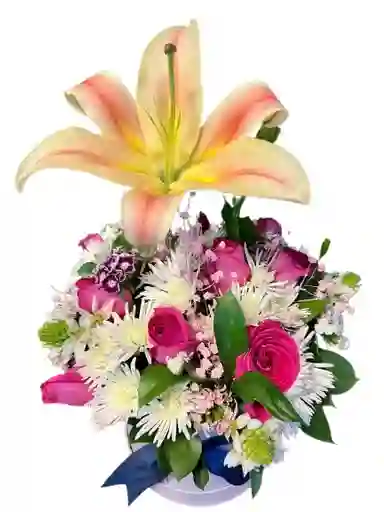 Caja Blanca – Lirio Durazno Y Rosas Fucsia