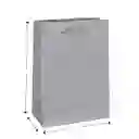 Bolsa De Regalo Plateada Pequeña 22x17 Cm – Cartulina Mate
