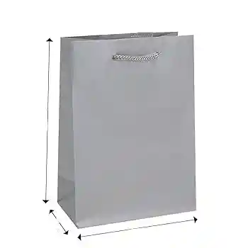 Bolsa De Regalo Plateada Pequeña 22x17 Cm – Cartulina Mate