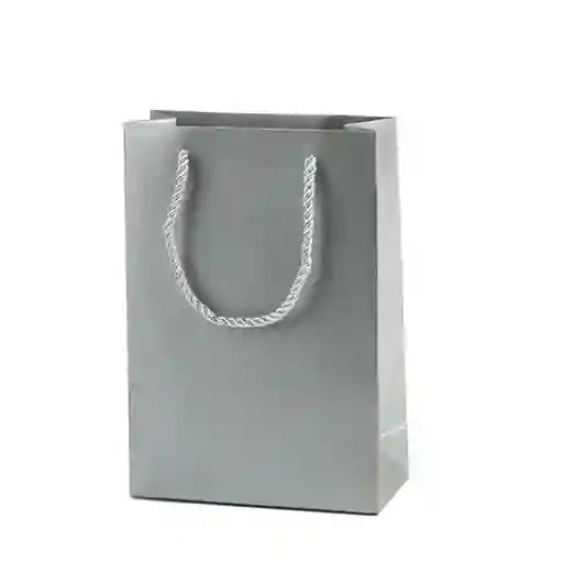 Bolsa De Regalo Plateada Pequeña 22x17 Cm – Cartulina Mate
