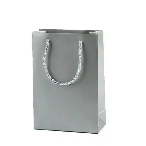 Bolsa De Regalo Plateada Pequeña 22x17 Cm – Cartulina Mate