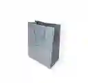 Bolsa De Regalo Plateada Pequeña 22x17 Cm – Cartulina Mate
