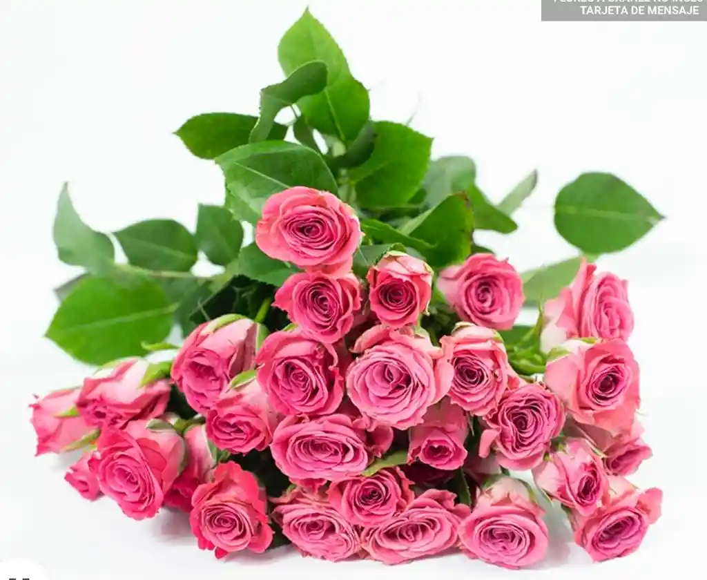 Flores Mini Rosa X 10 Varas