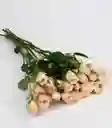 Flores Rosas Mini 10 Varas