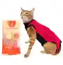Faja Para Gatos Post Quirurgicas Talla M Peso 3 A 4.7 Kg