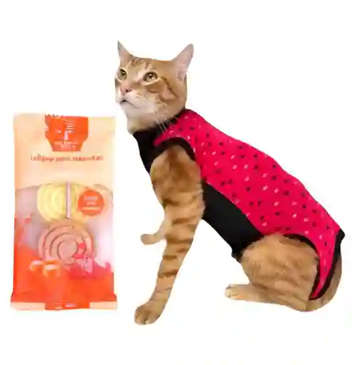 Faja Para Gatos Post Quirurgicas Talla S Peso 2 A 2.9 Kg