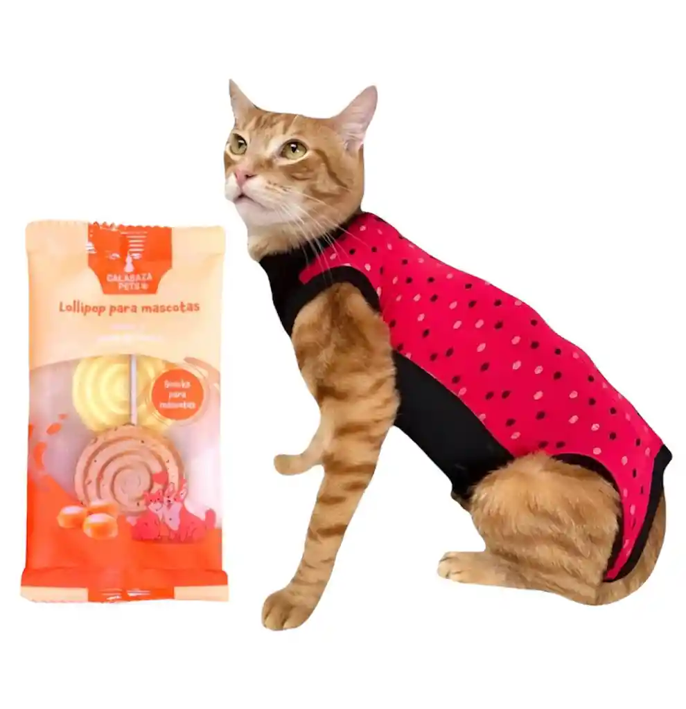 Faja Para Gatos Post Quirurgicas Talla S Peso 2 A 2.9 Kg
