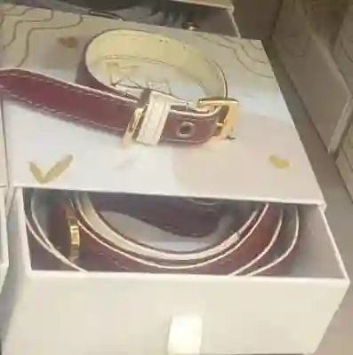 Set Collar & Correa En Cuero Kumpet S