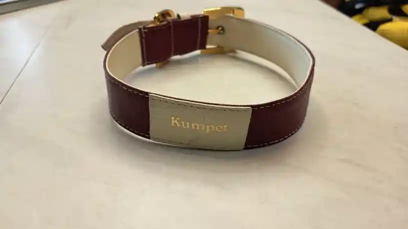Collar En Cuero Kumpet Xl