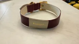 Collar En Cuero Kumpet S