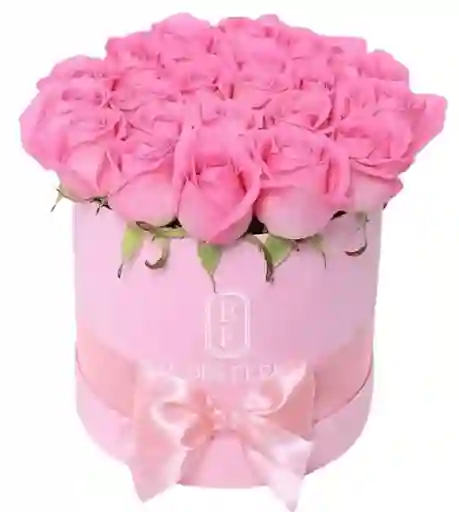 Caja Rosa – Rosas Rosadas Premium