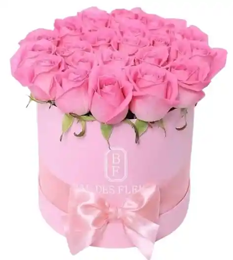 Caja Rosa – Rosas Rosadas Premium