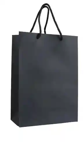 Bolsa De Regalo Mediana 30x25 Cm – Cartulina Mate Plateada O Negra