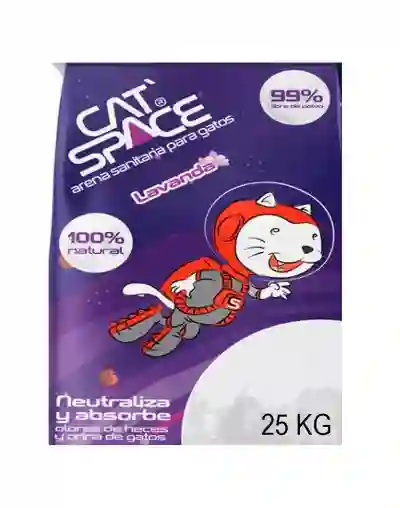 Arena Cat Space