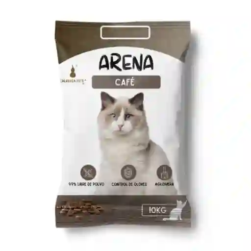 Arena Calabaza Cafe