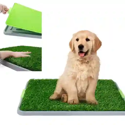 Tapete Para Mascota