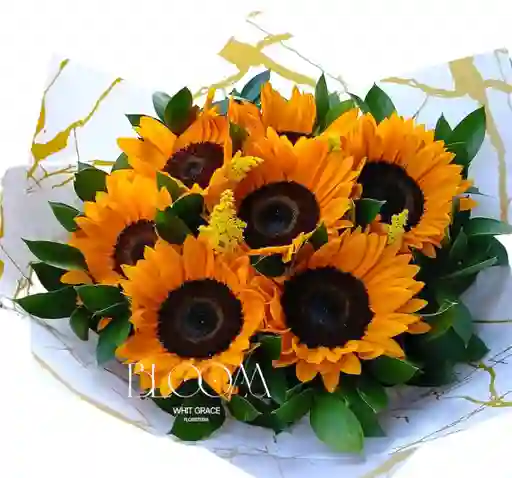 Flores Girasoles Bello Atardecer