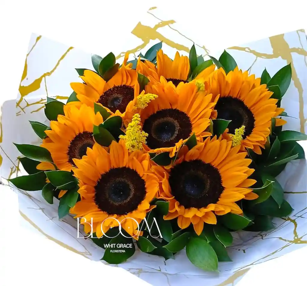 Flores Girasoles Bello Atardecer