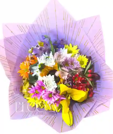 Flore Surtidas Bello Dia