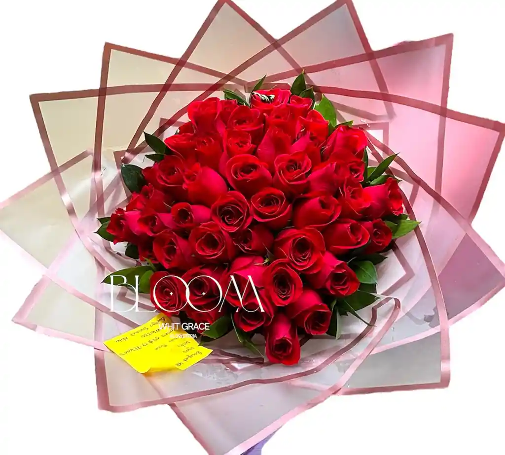 Flores Rosas Rojas X48