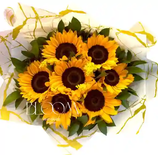 Flores Girasoles Amanecer
