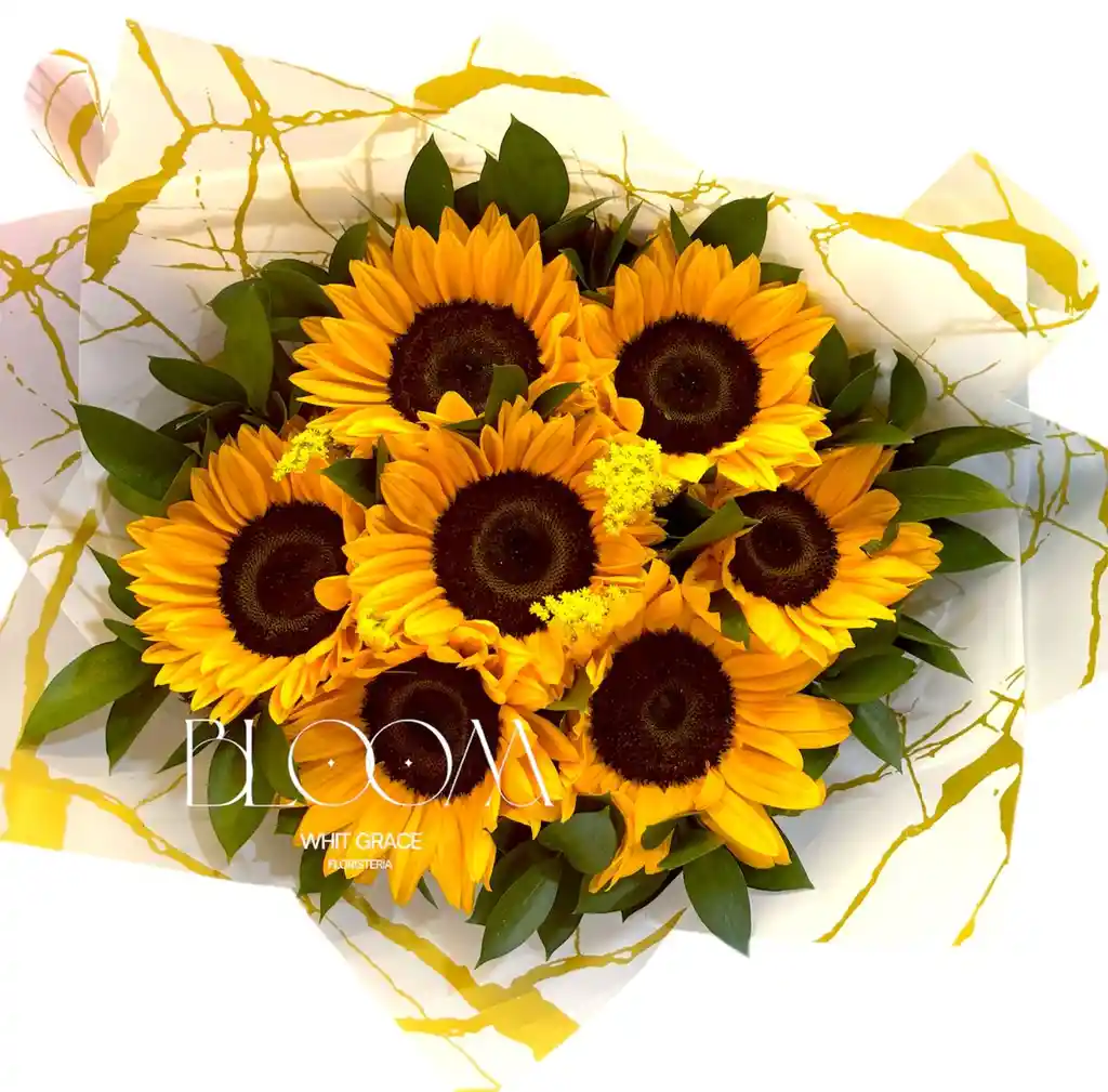 Flores Girasoles Amanecer