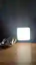 Aro Luz Led Portatil Rgb