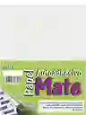 Papel Adhesivo Mate Carta Hoja