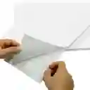 Papel Adhesivo Mate Carta Hoja