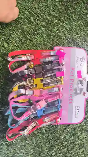 Collar De Cuadro De Gato X Unidad