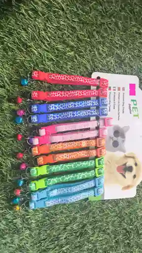 Collar De Gato Y Perro Por Unidad