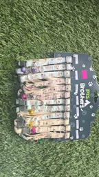 Collar De Ositos Venta Por Unidad