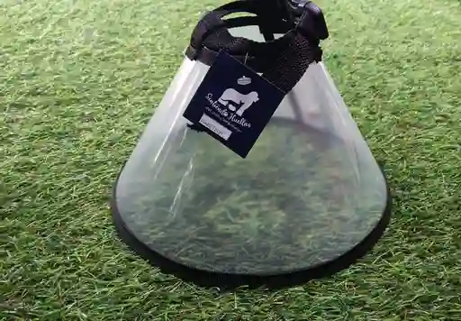 Collar Isabelino Talla #4