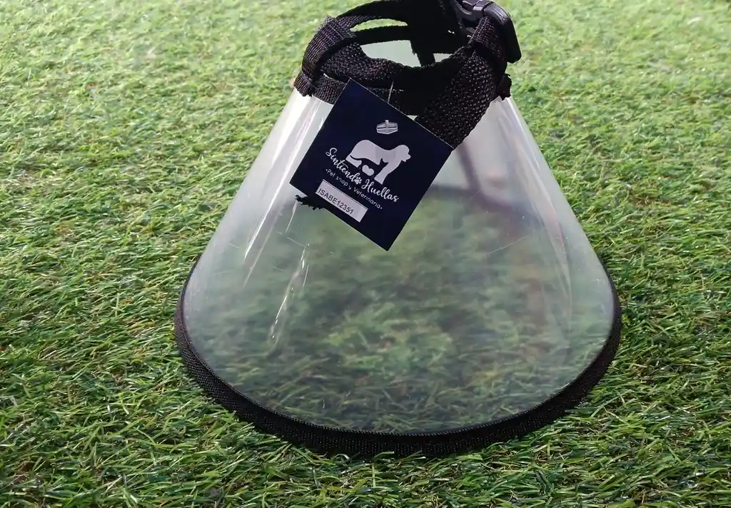 Collar Isabelino Talla #4