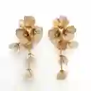 Aretes Flores De Otoño