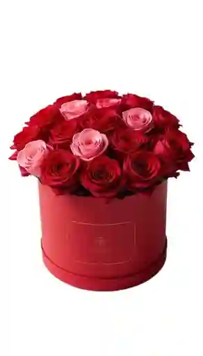 Caja Roja – Rosas Rojas Y Rosadas Premium