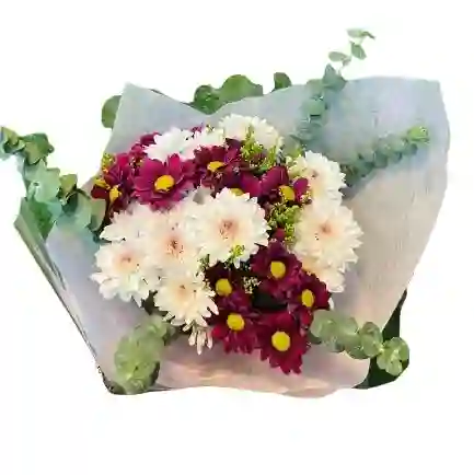 Ramo De Crisantemos Bicolor Con Eucalipto