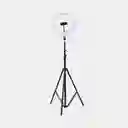 Aro Luz 33cms Con Tripode