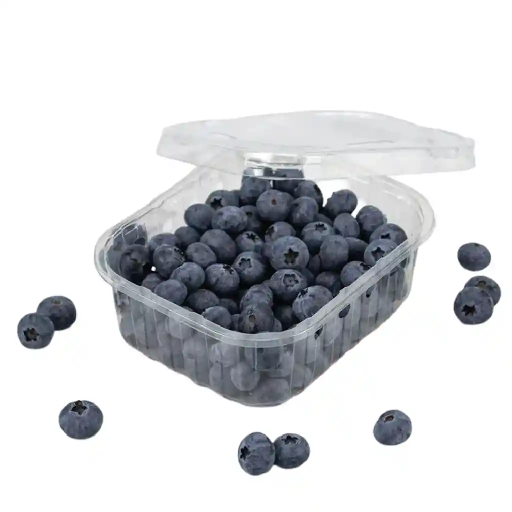 Bandeja Arandanos (135gr)