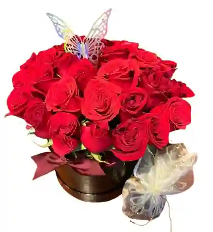 Caja Negra – Rosas Rojas Con Mariposa