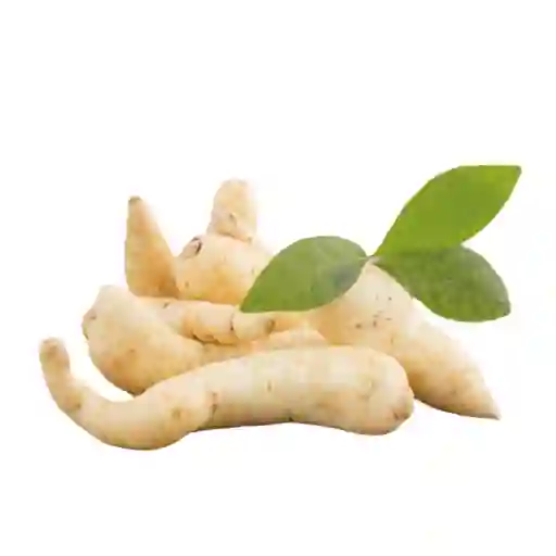 Arracacha 1 Lb O 453 Gr