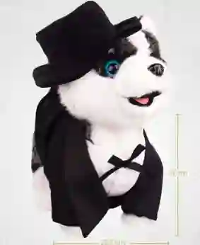 Disfraz Para Perro Pequeño Halloween