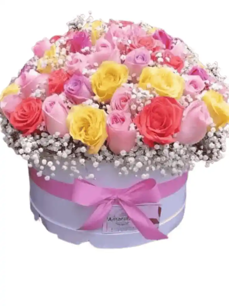 Cilindro Con 24 Rosas Naturales