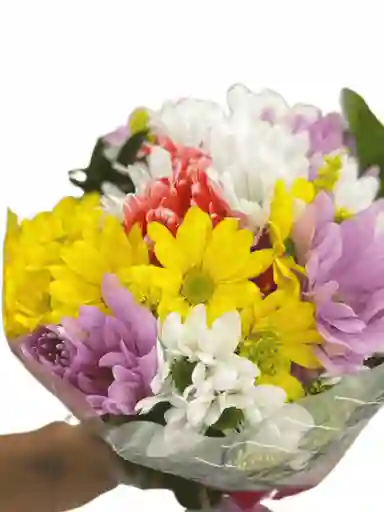 Bouquet De Margaritas Naturales