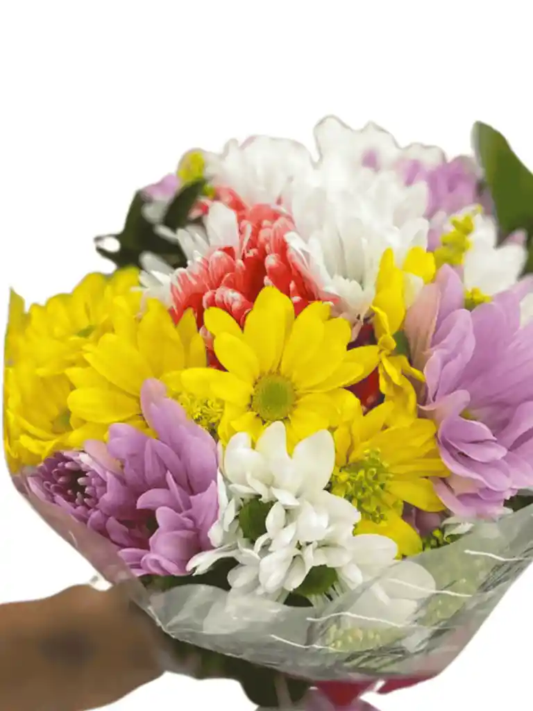 Bouquet De Margaritas Naturales