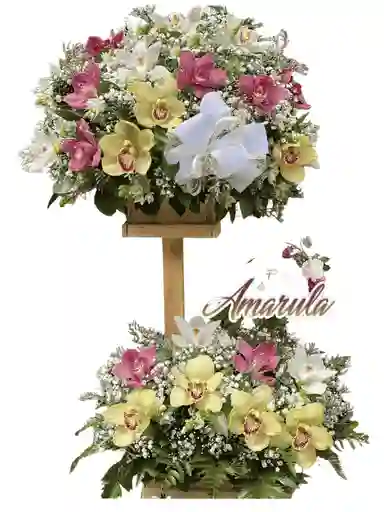 Ramo Doble Base De Orquídeas Surtidas
