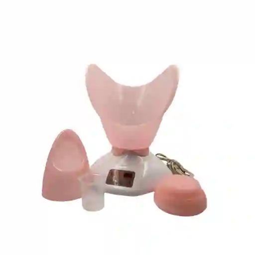 Sauna Facial Benice Digital