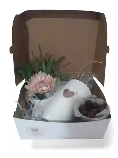 Caja De Regalo Sorpresa, Giftbox Cora