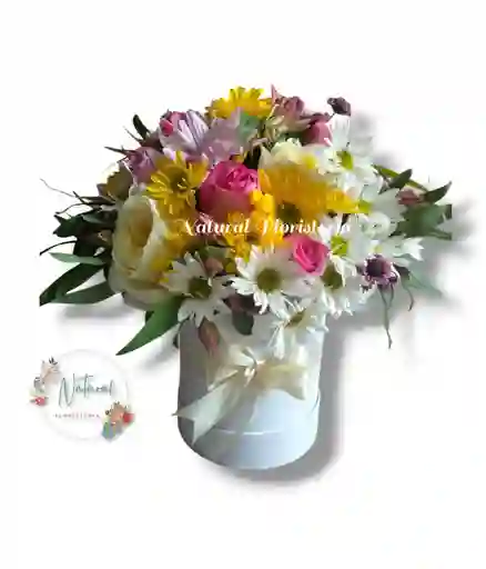 Arreglo De Margaritas Rosas Y Astromelias