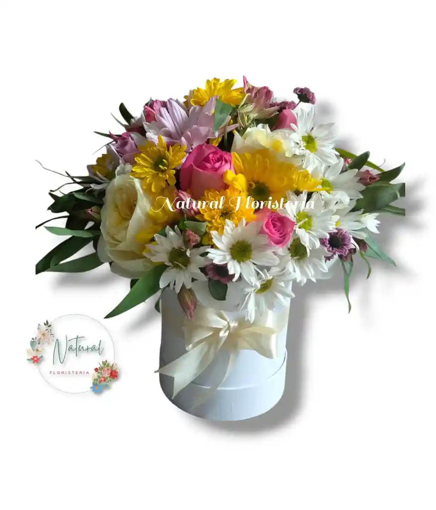 Arreglo De Margaritas Rosas Y Astromelias